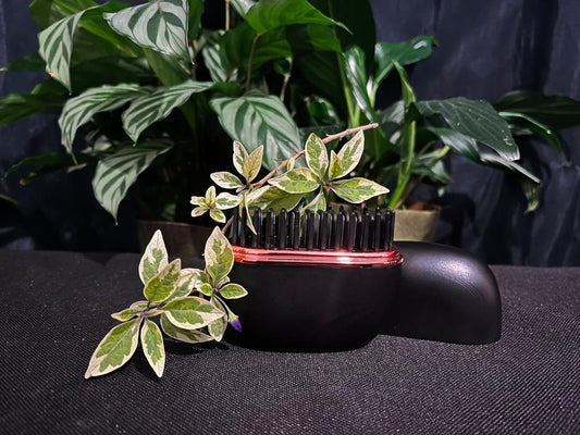 PureBloomz™ Mini Cordless Hair Straightener Comb